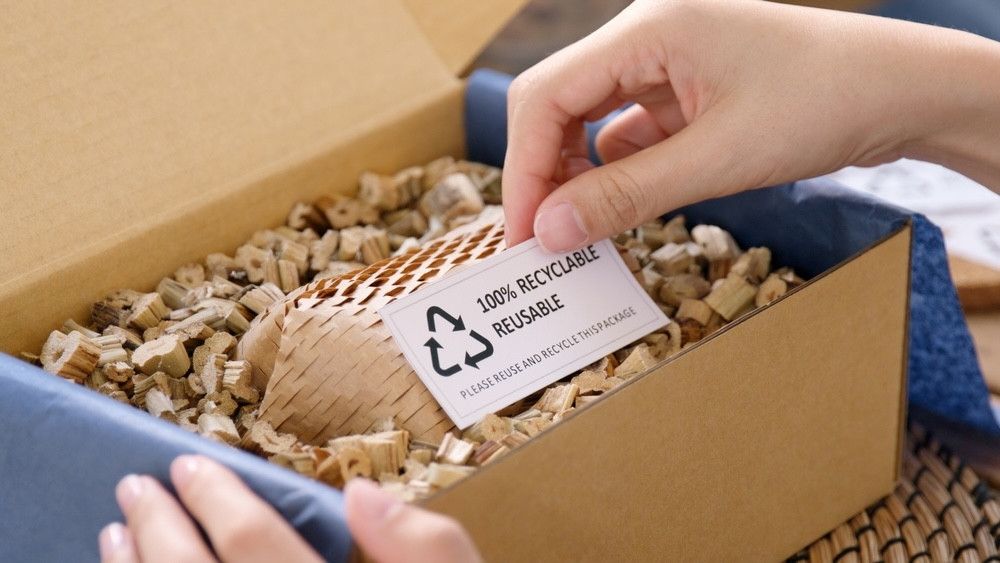 Traceless Materials' packaging solutions help businesses reduce their plastic footprint with eco-friendly alternatives.
