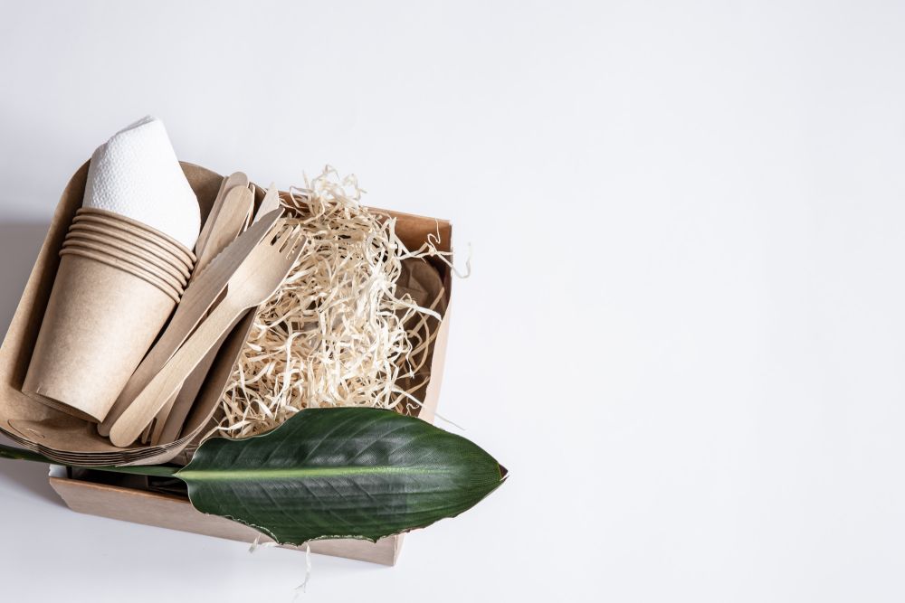 Research Explores Sustainable Alternatives to Single Use Plastics in Controlled Environment Agriculture