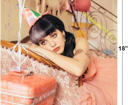 Upgrade Your Collection: Melanie Martinez Merchandise Store