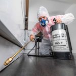 Safe Pest Control: Tips for Organic Pest Management