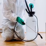 Demystifying Safe Pest Control in Commercial Spaces