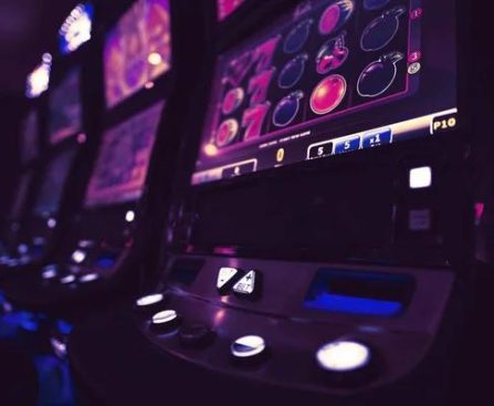 Play, Spin, and Win with Mildcasino