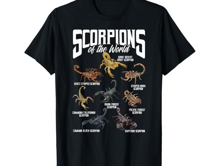 Inside Look: The Official Scorpions Shop for True Fans