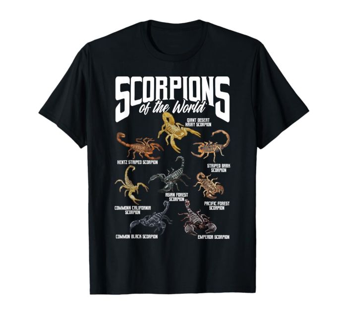 Inside Look: The Official Scorpions Shop for True Fans